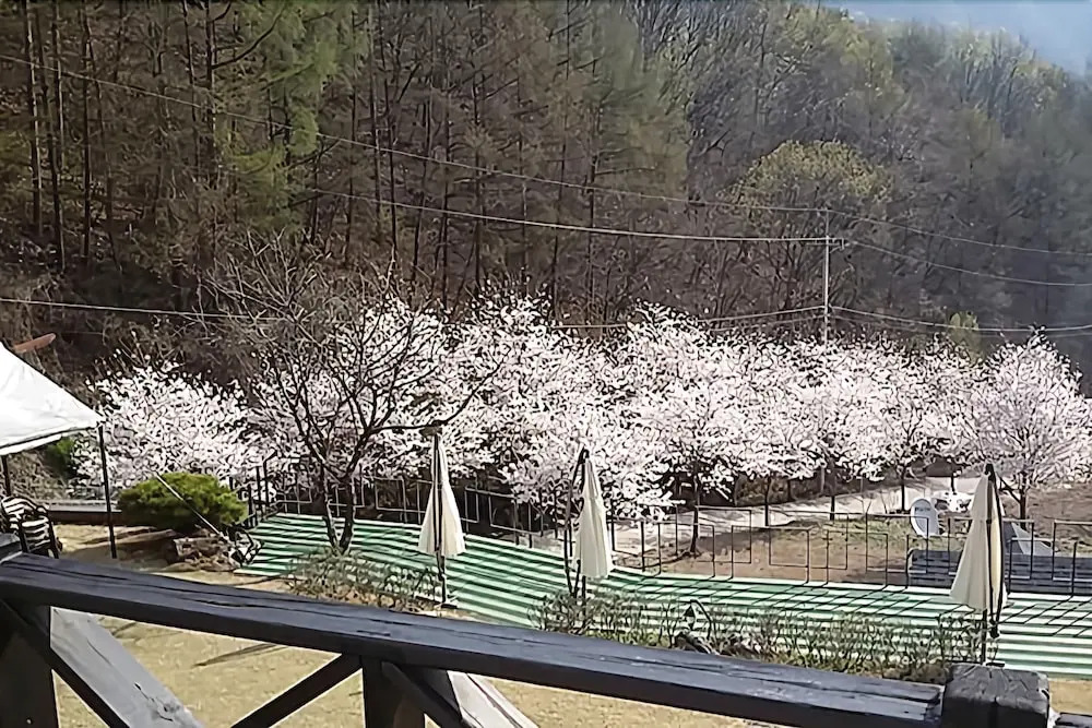 Yangpyeong Yom Pension