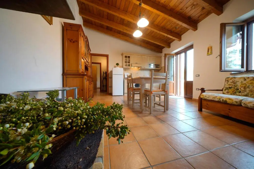 L'oliveto