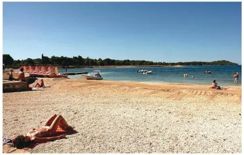 Apartments Pineta Franko