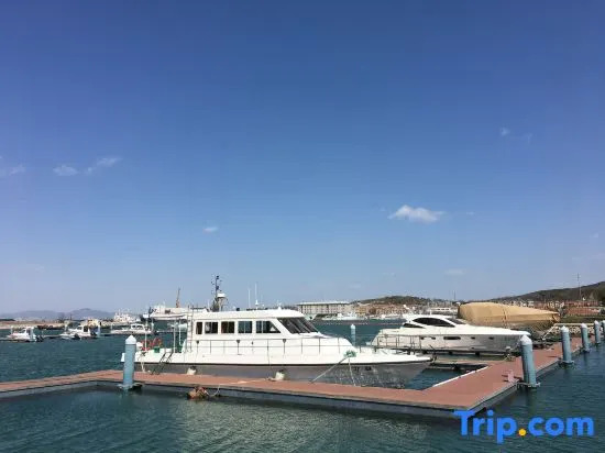Mr. White Rabbit Guesthouse