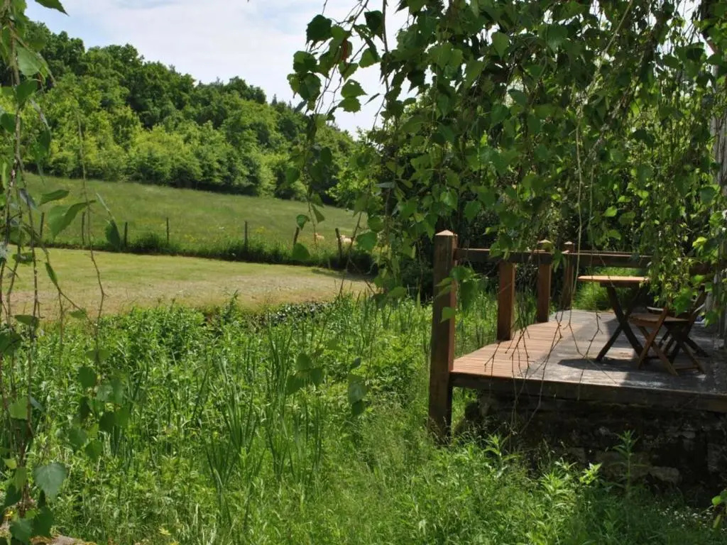Charmant gîte paysan XIXe avec terrasse et jardin bordé par un ruisseau, à 1,5 km dAzay-le-Rideau - FR-1-381-417