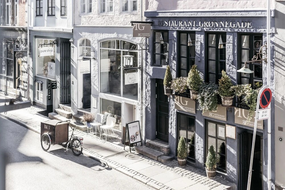City Centre Apt next to Kongens Nytorv