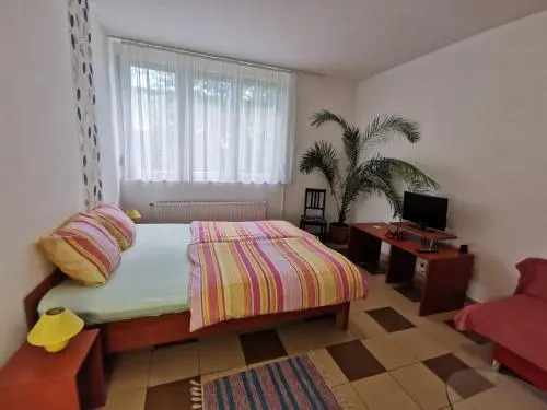 1st Floor Apartman