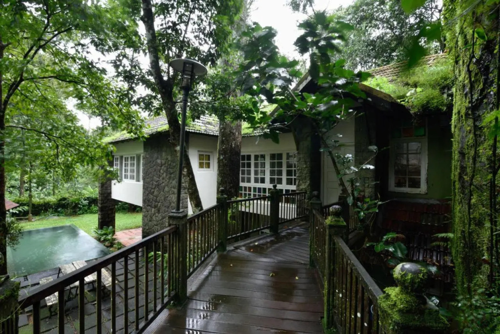Mystic Mayapott Thekkady