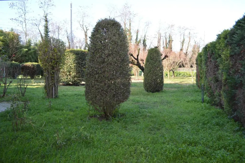 Camere Scandellara 24
