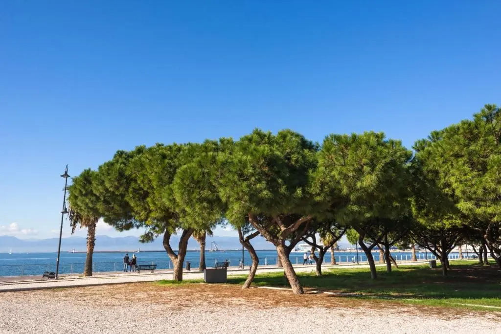 Cagliari Magica bellissimo appartamento panoramico in centro