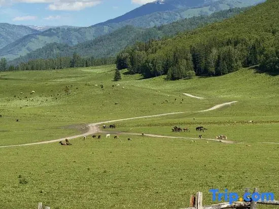 Hemu Youyuan Chalet Forest B&B