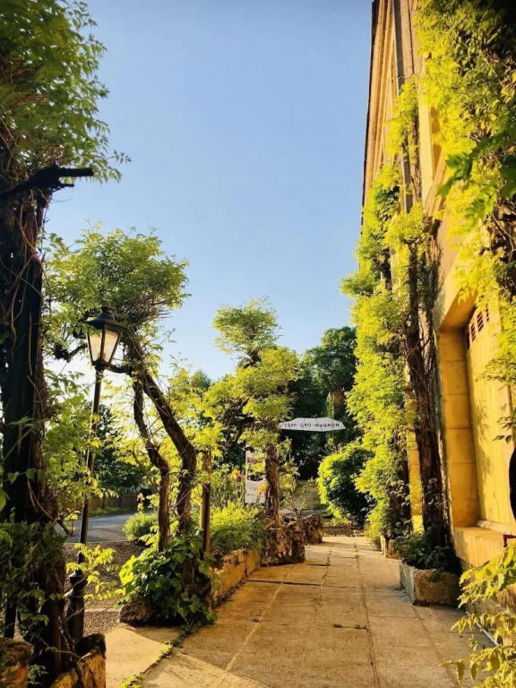 Le Cro-Magnon - hôtel - piscine - climatisation