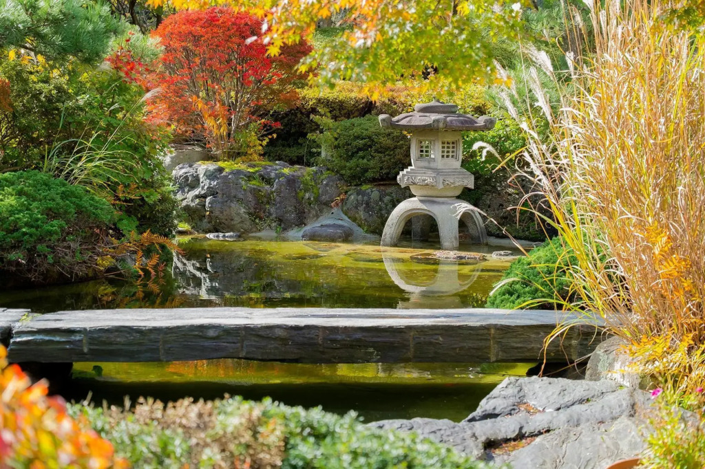 Forest Resort Sarugakyo Seikoso