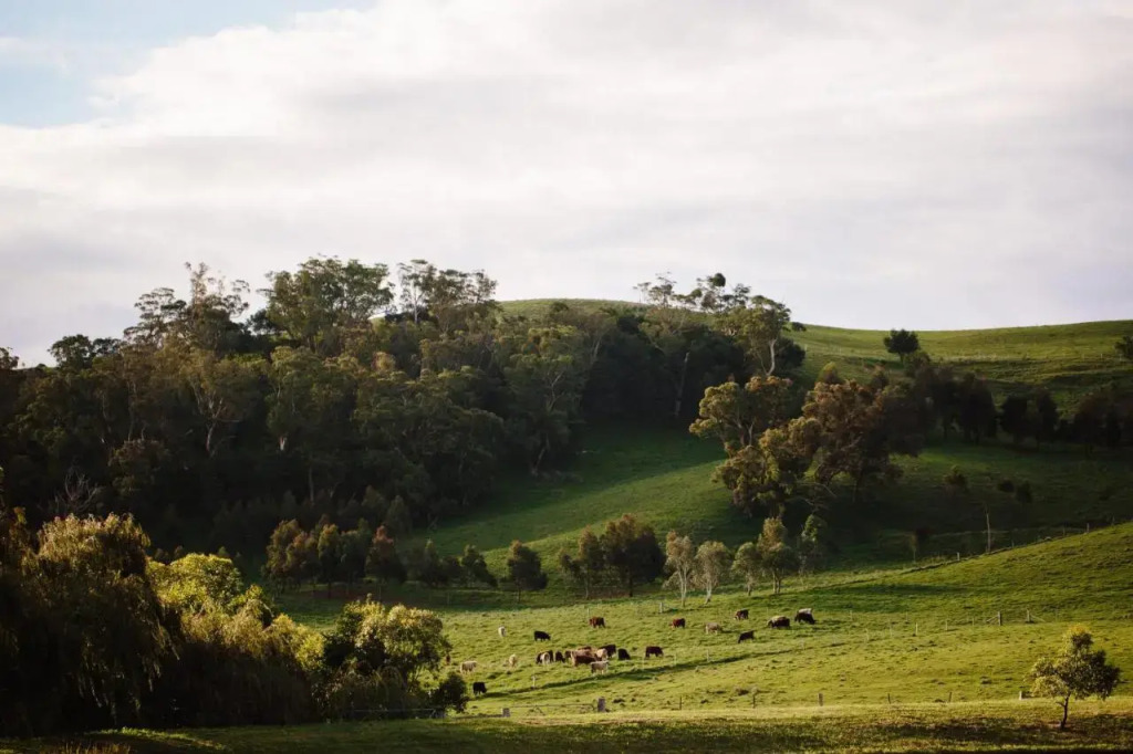 Bendooley Estate