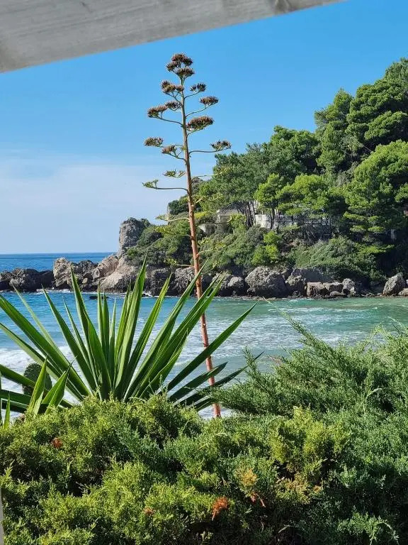 Corfu Dream Holidays Villas 2-4