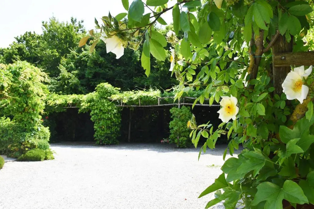 Venicegreen Agriresort