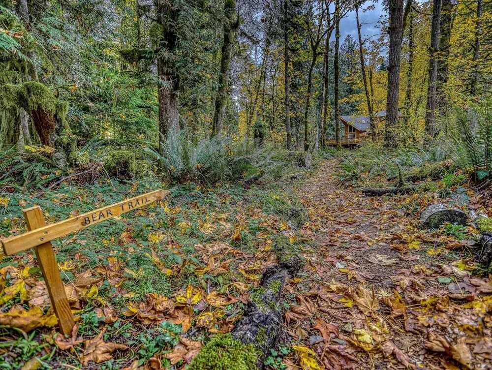 Salmon River Chalet