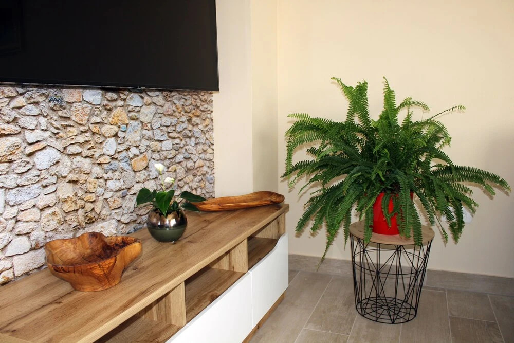 Calypso 2-bedrooms Apartment in Supetar
