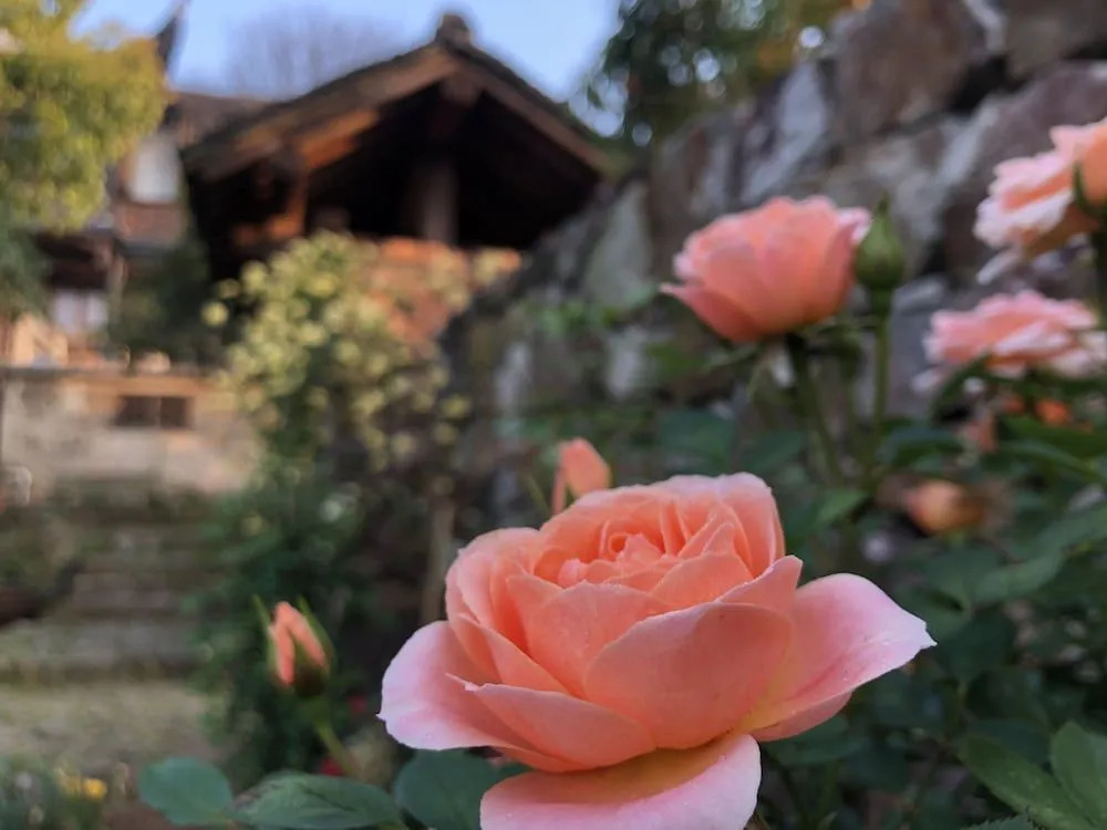 Suzhou Ancient House