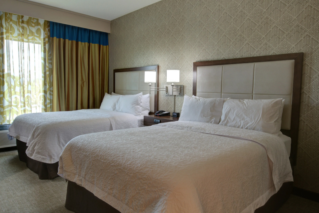 Hampton Inn & Suites by Hilton Tampa Busch Gardens Area