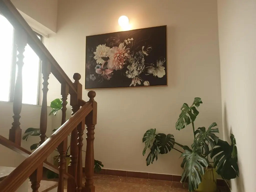 Apartments Dolac