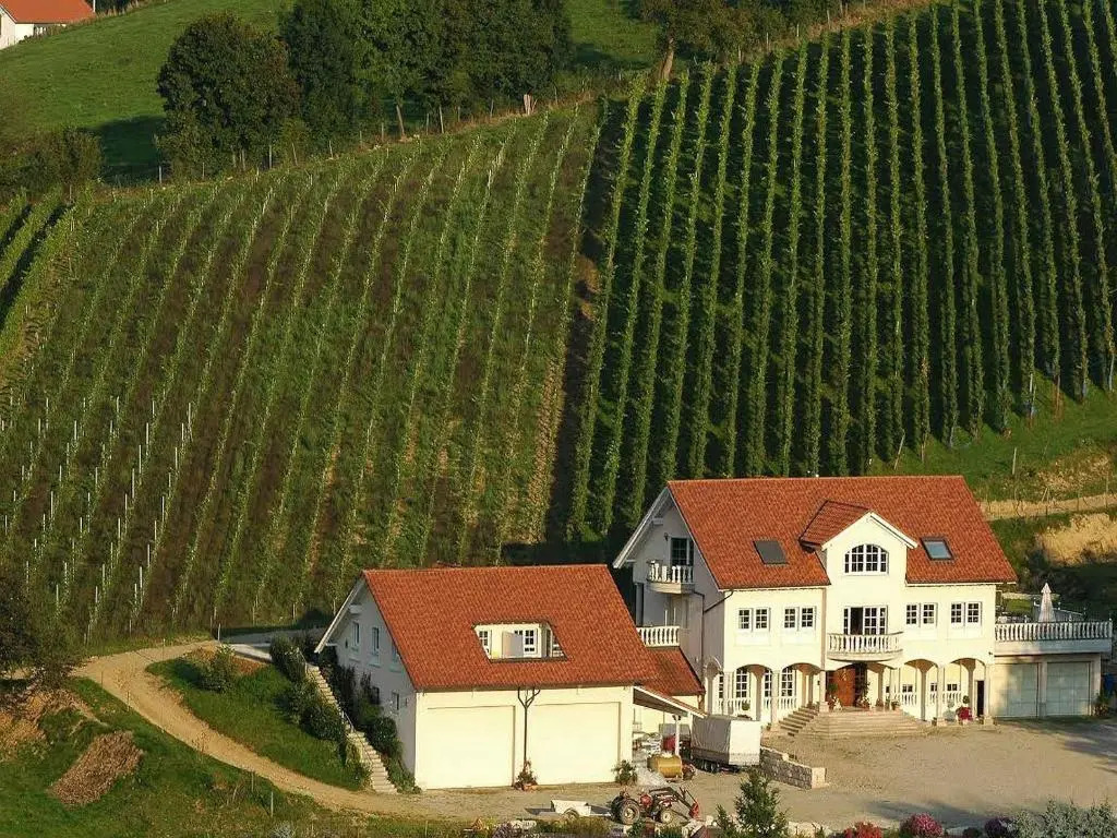 Weingut-Brennerei-Ferienwohnungen Eugen Wissler