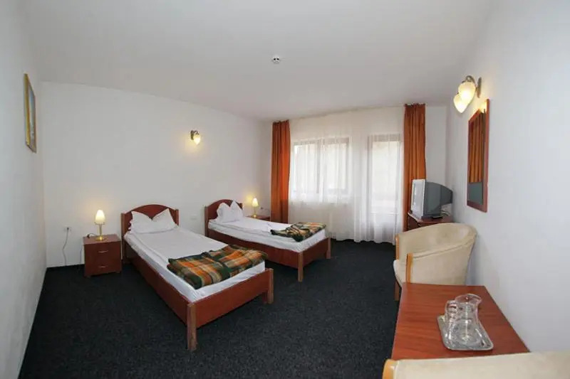 Hotel Paltinis