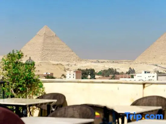 New Gardenia Pyramids - Rooftop