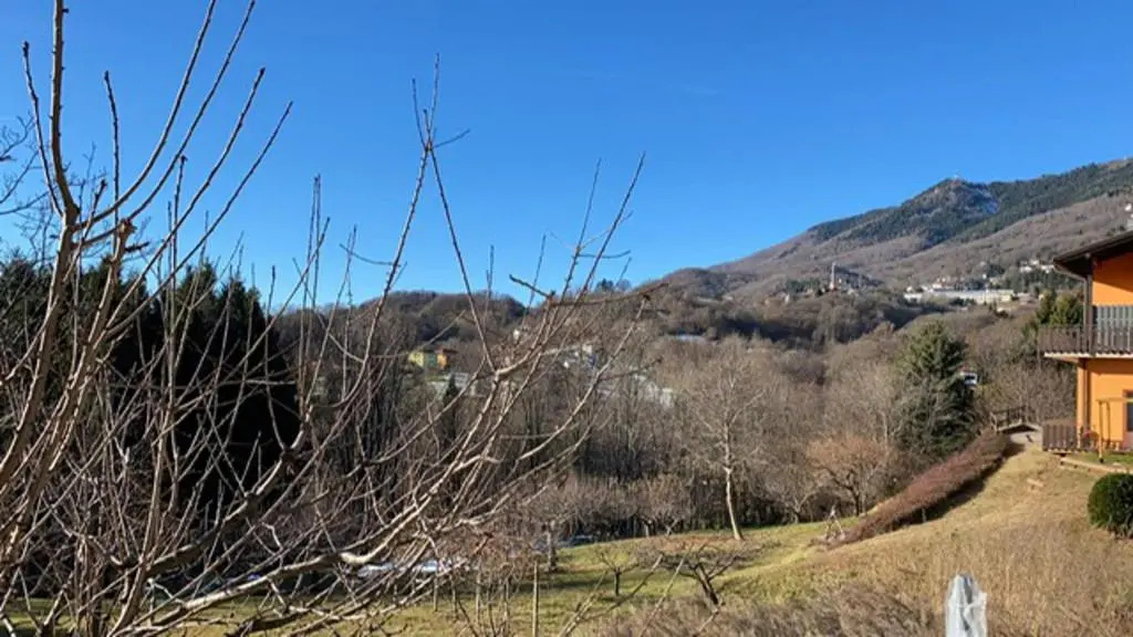 Cosy, pet Friendly Apartment in Portula, Italy