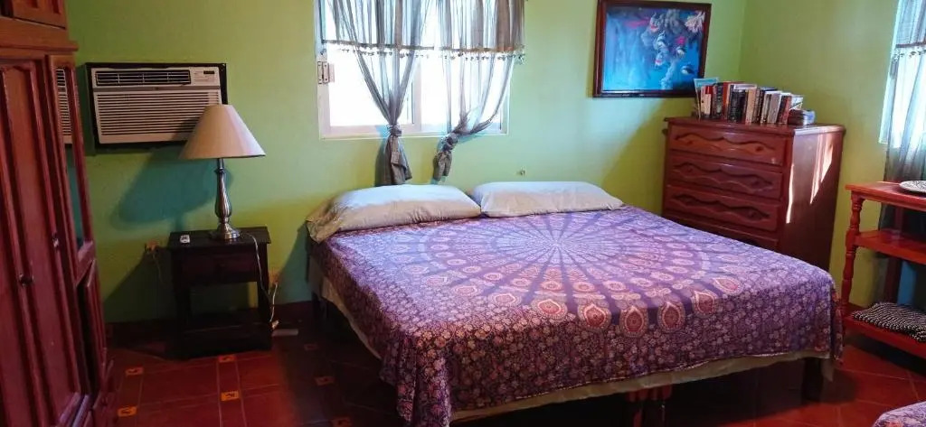 Iguana Loca 2