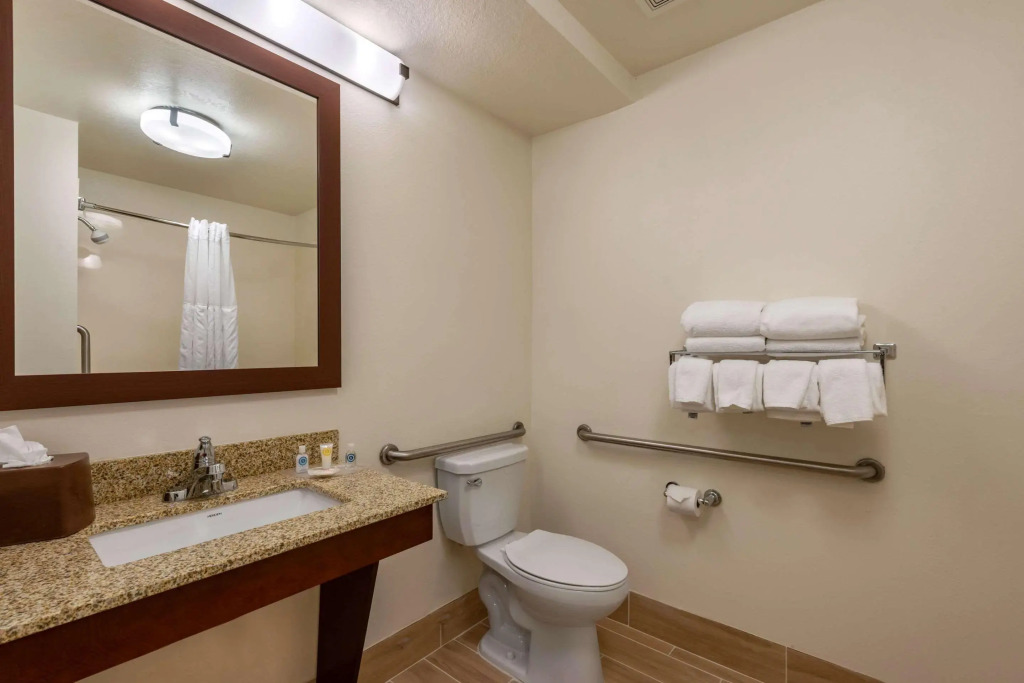 Comfort Suites Downtown