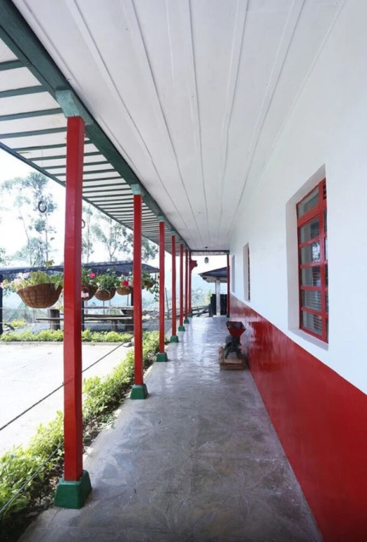 Hostal Las Camelias Salento - Hostel