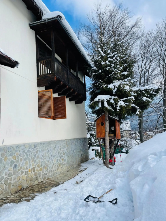 Casa Renilor