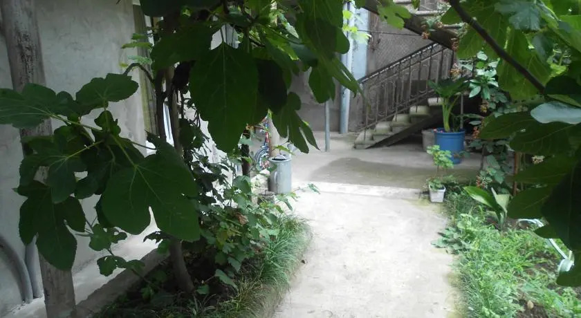 Salome Holiday Home