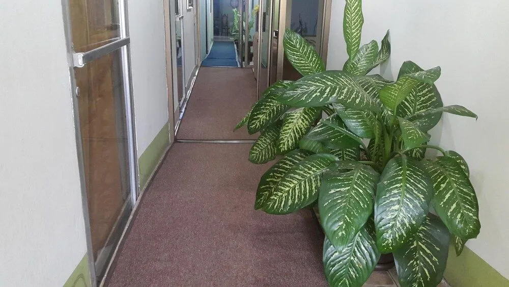 Hotel Fuente de Paz Managua es Posada de Paz