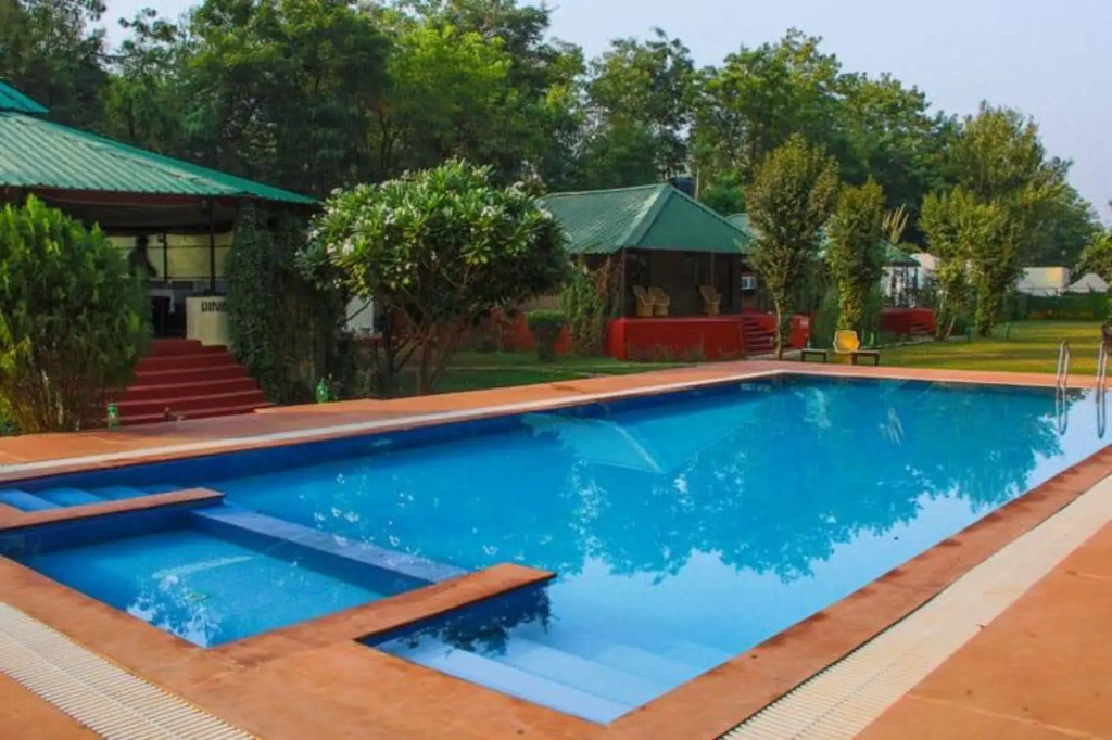 Jungle View Resort
