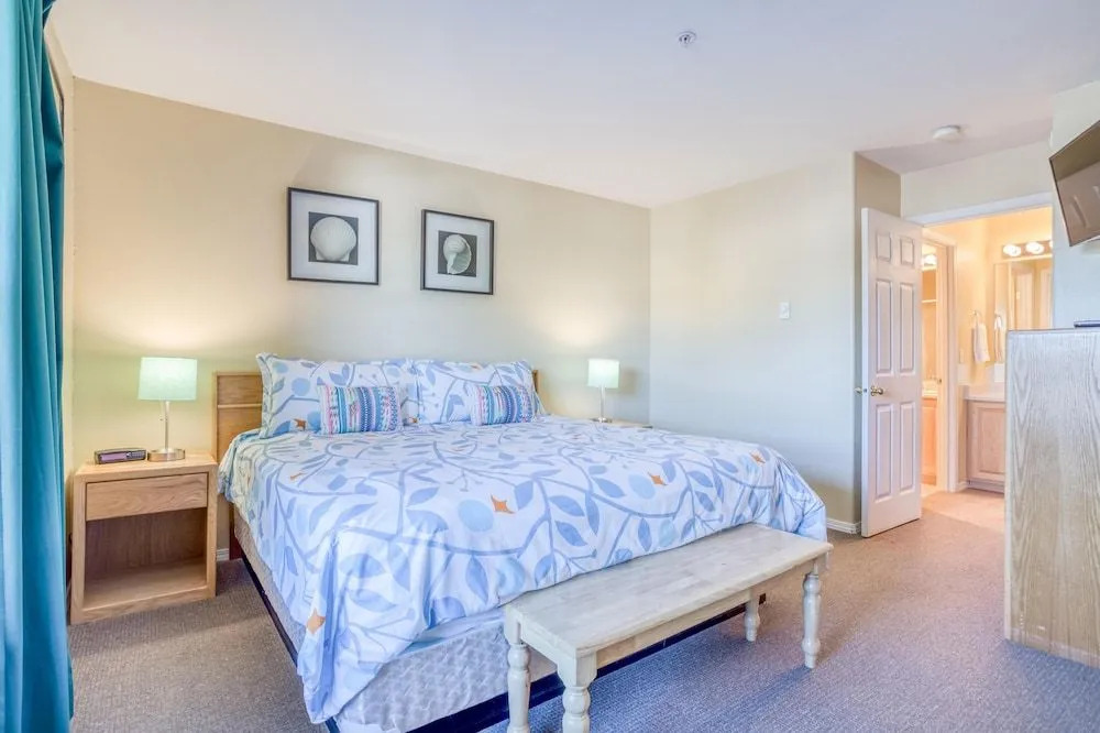 Birds Nest Suite