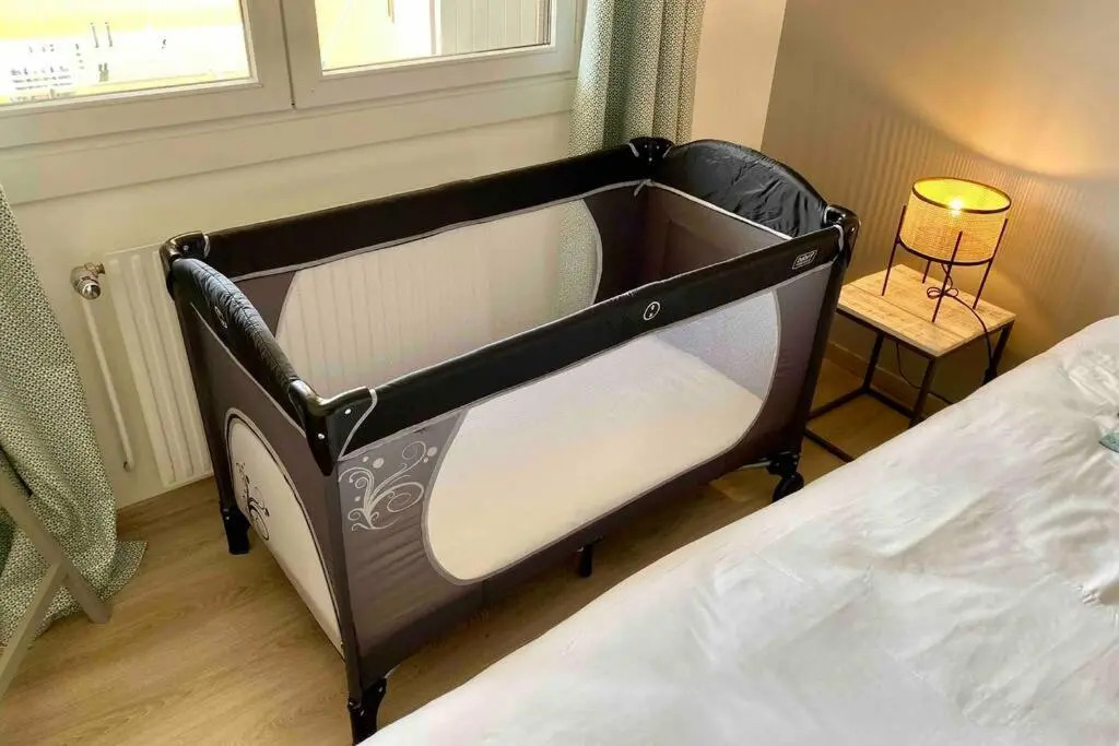 Le Continental Beau T2 plein centre + parking