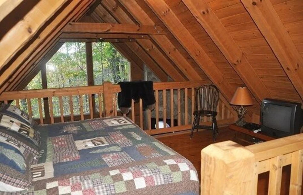 Mountain Bearadise 2 Bedrooms 2 Bathrooms Cabin