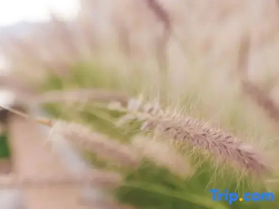 Jianmu·Seascape|Erhai Art Luxury New Premium Sea View Hotel(Shuanglang Erhai Lake Branch)