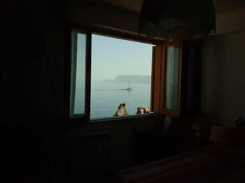 La casa di Ulisse