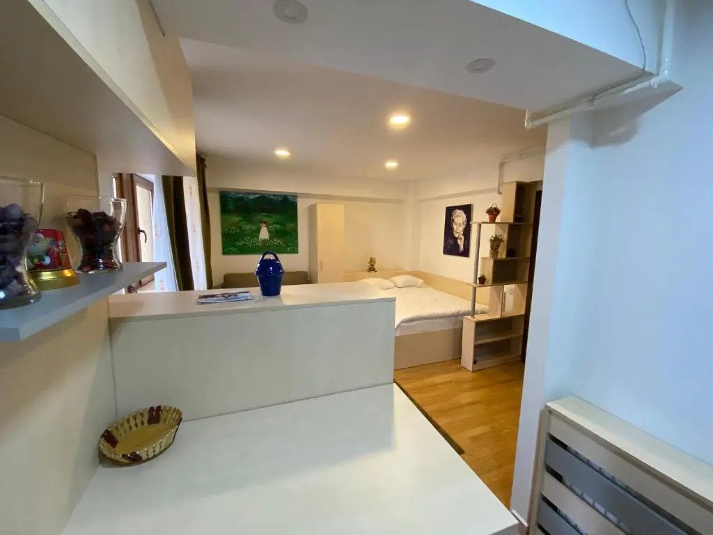 Sinaia Mirage Studio - Self Check-in & Self services! The studio is located 700 meters from the city center, 600 meters from the Peleș Castle in Sinaia - Plata si cu card vacanta