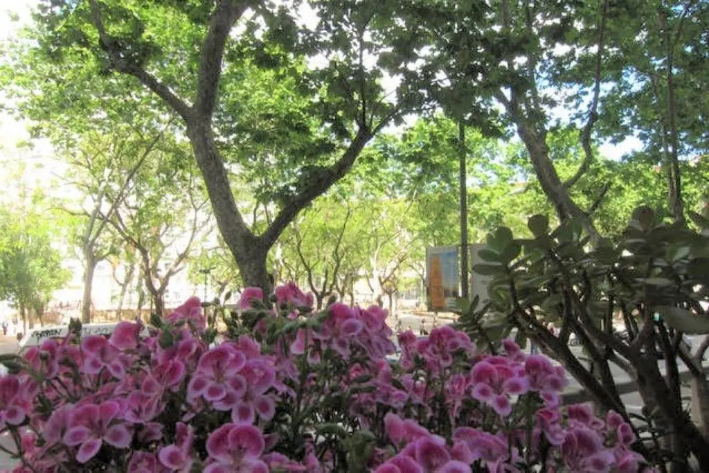 Sant Antoni Lovely Apartment