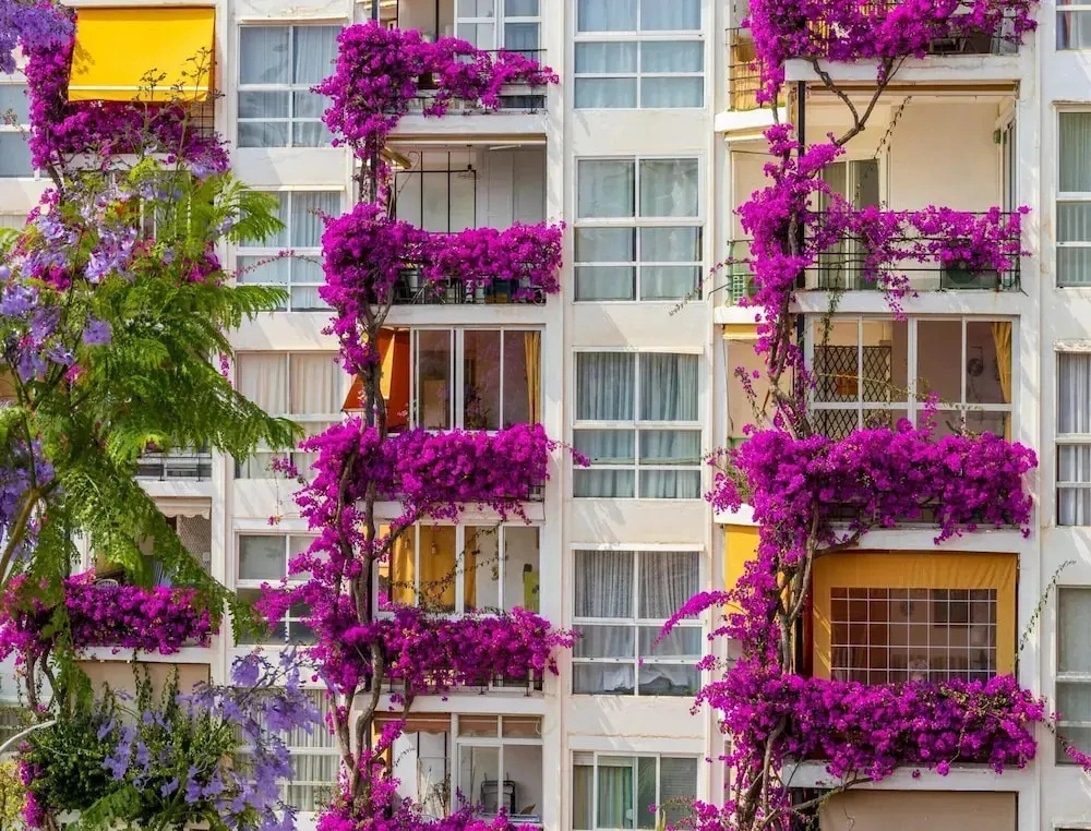 Apartment With Terrace Near the Sea