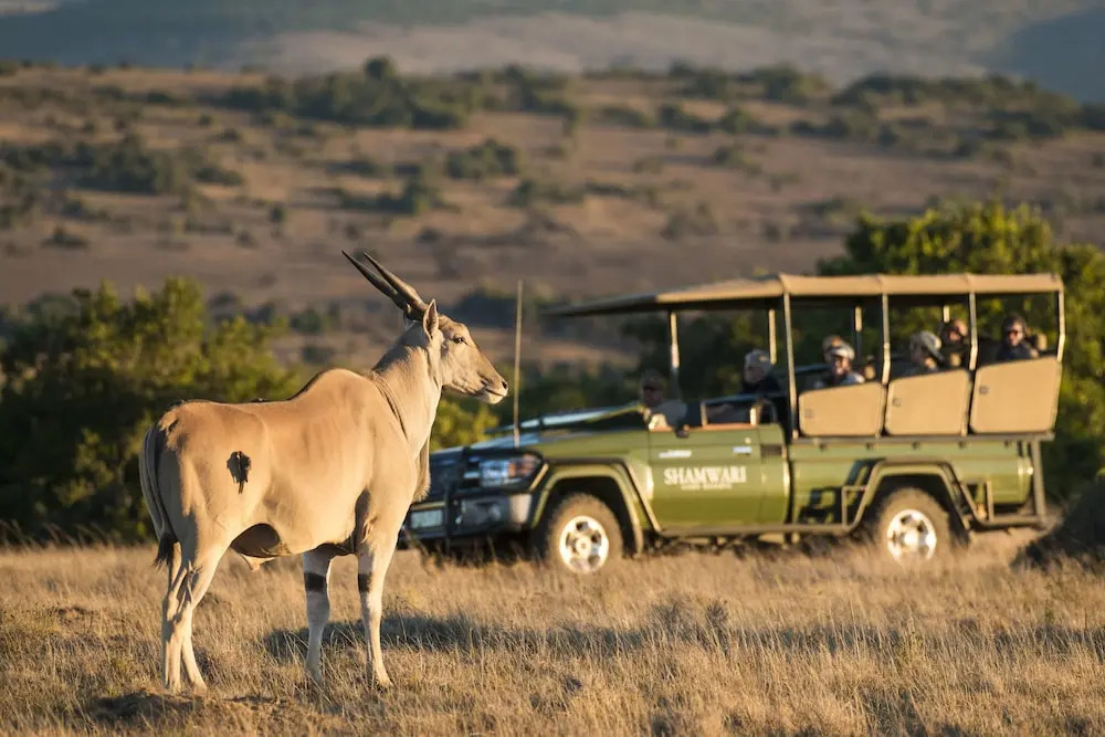 Shamwari Sarili Lodge