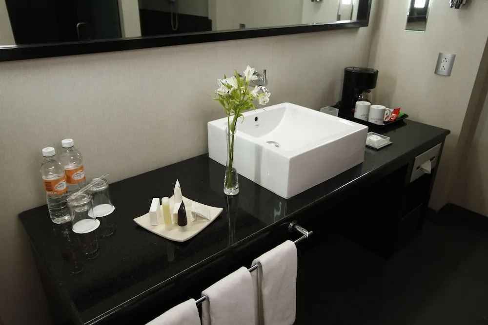 Crowne Plaza Toluca-lancaster