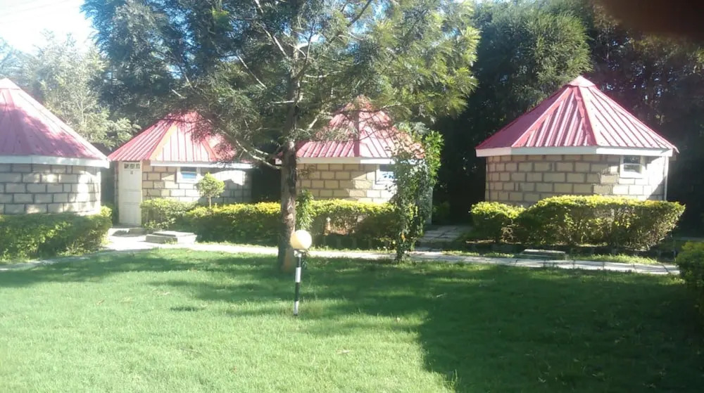 Look Up Guest House