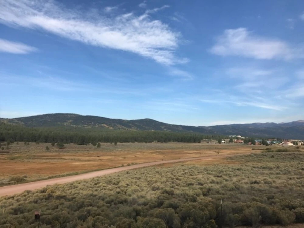 Mountain Meadows