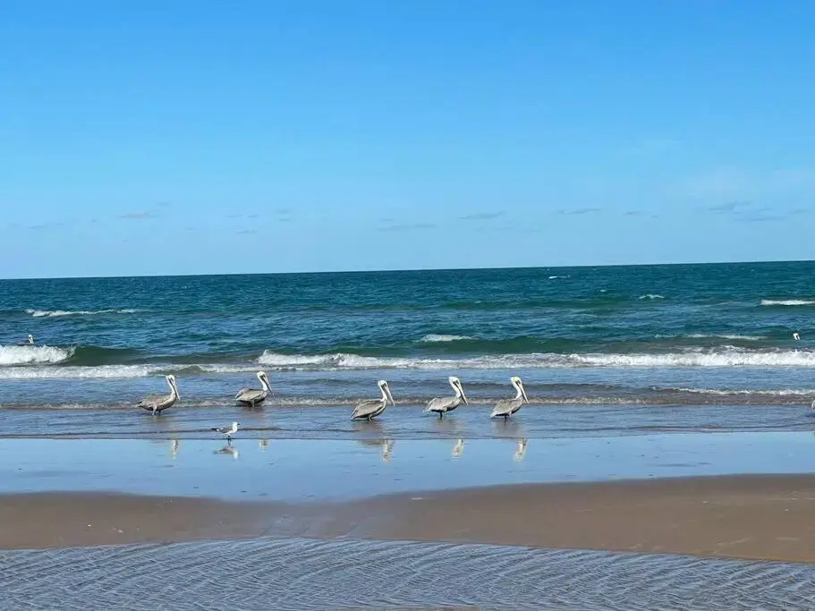 Steps To The Beach/Pet Friendly