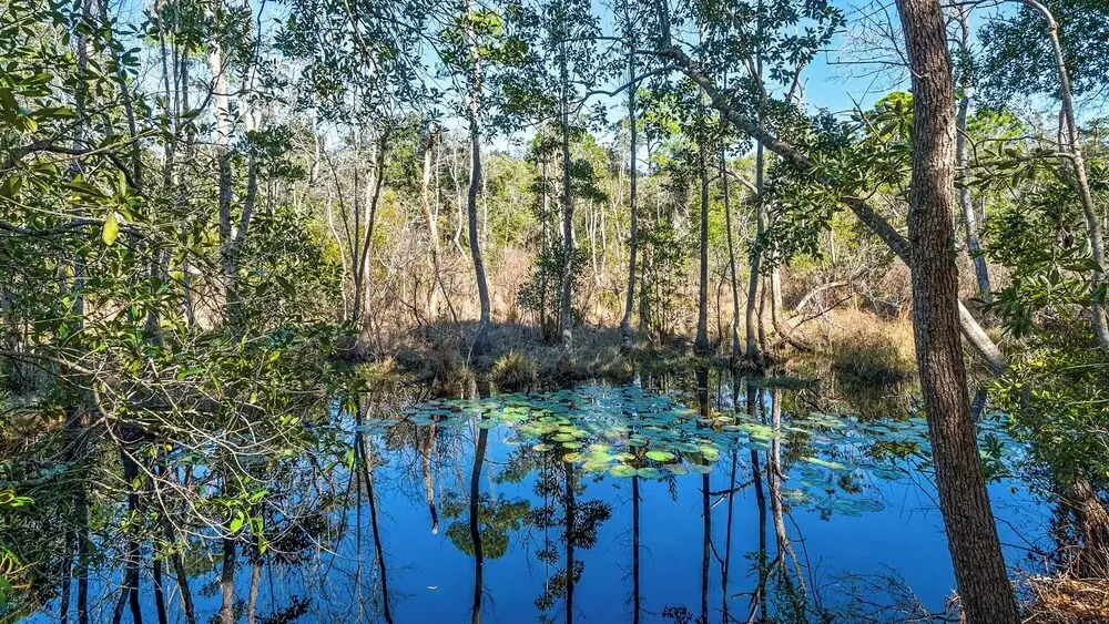 Old Seagrove Next to Seaside- Quiet Area & Vintage Charm, Backs to Canal