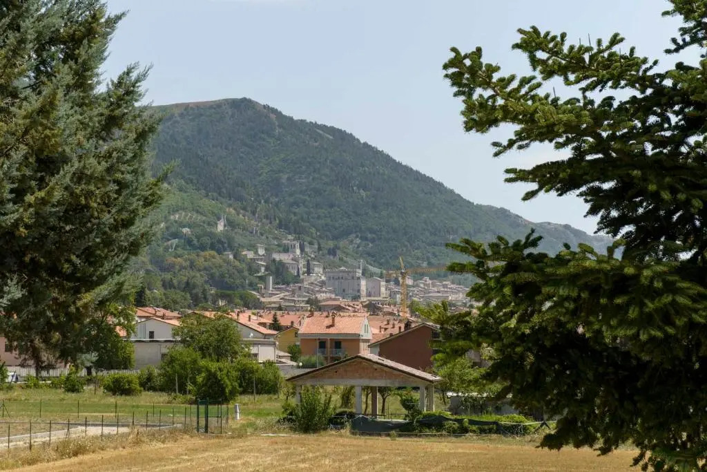 La Casa dei Pini