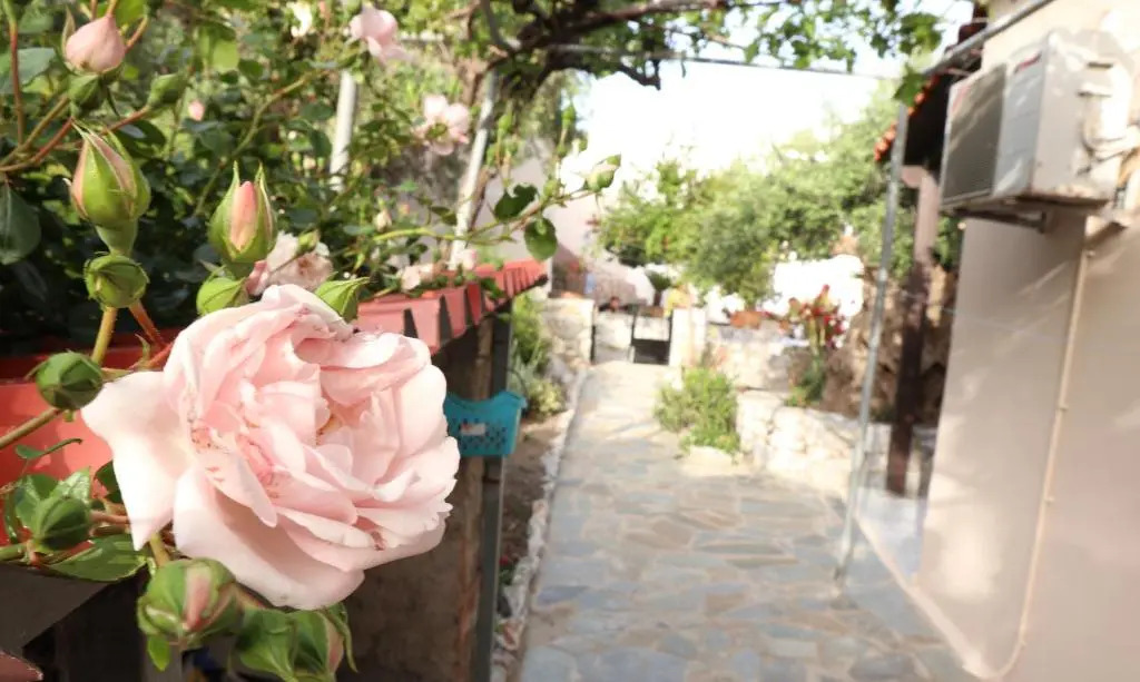 Petasos House, Sea View with Private Garden