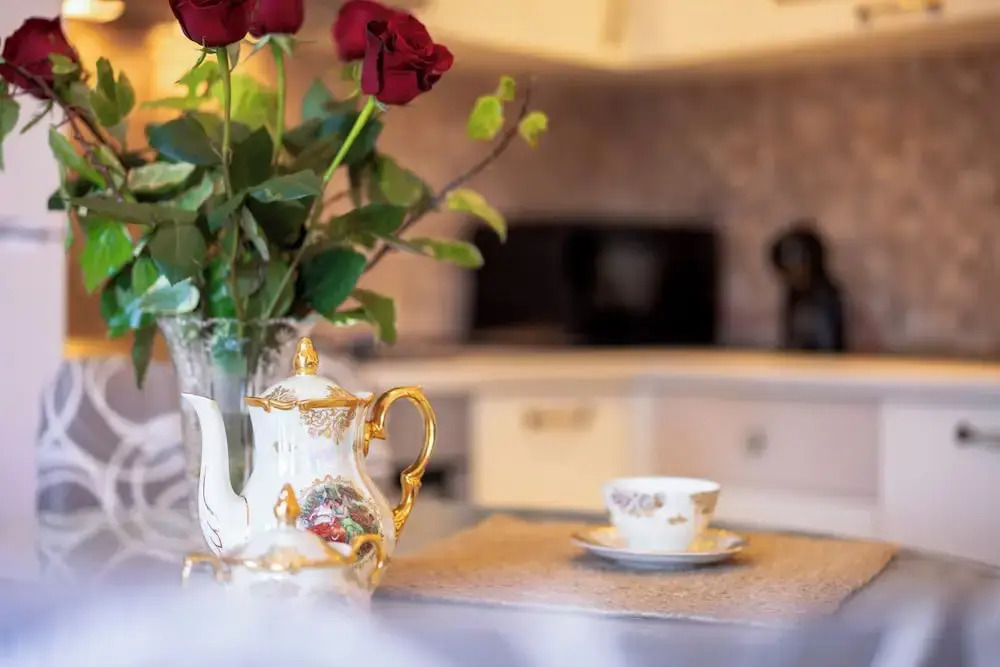 Villa Capitis in the Centre- Luxury Apartment with Swimming Pool