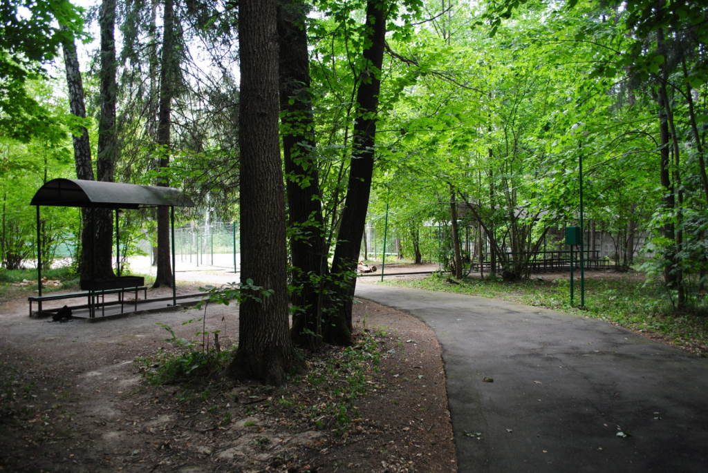 Менделеево